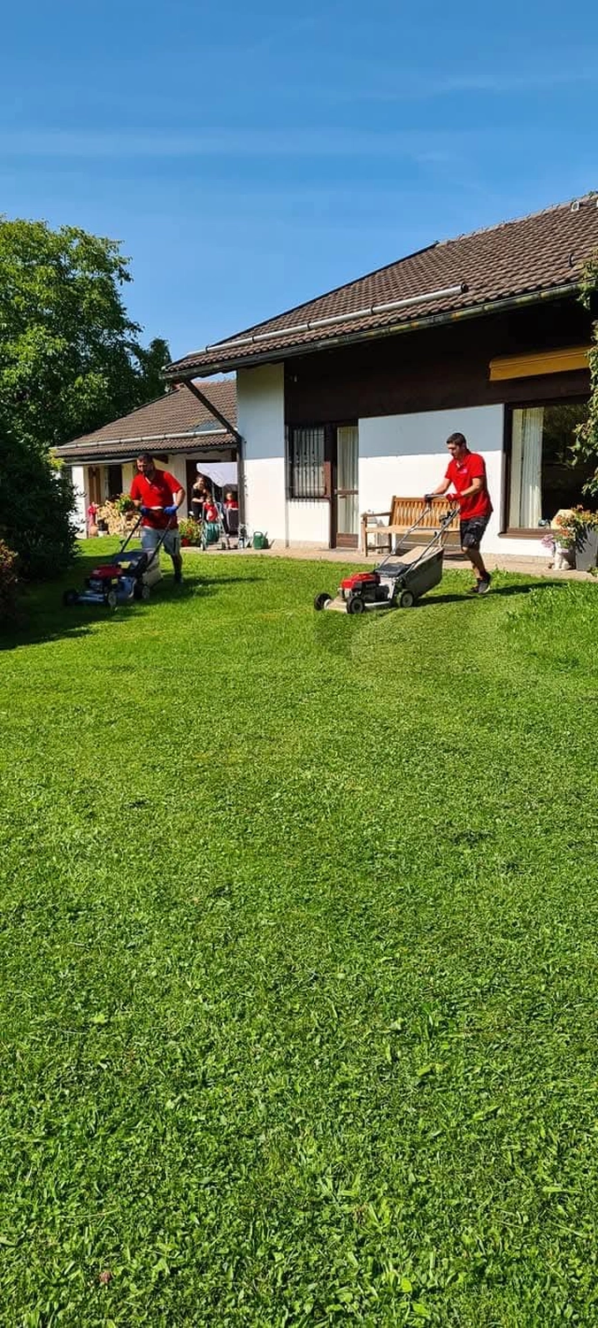 Timi Morina – Reinigung & Service - Gartenpflege