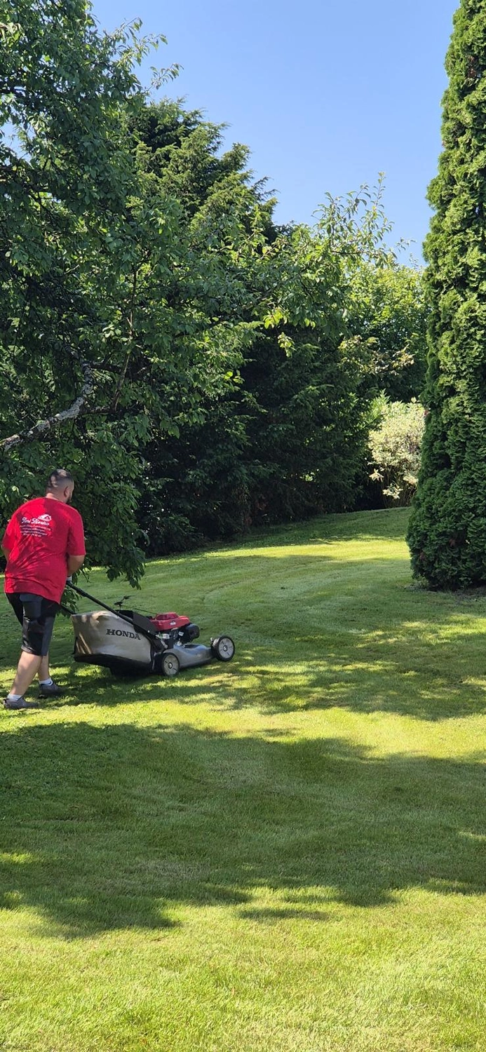 Timi Morina – Reinigung & Service - Gartenpflege