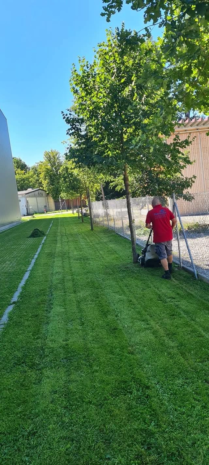 Timi Morina – Reinigung & Service - Gartenpflege